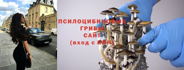 кристаллы Бородино