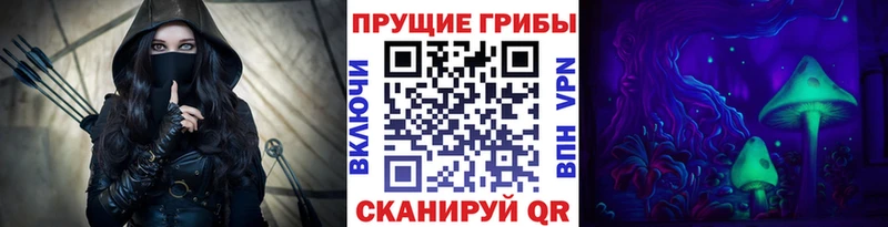 продажа наркотиков  Новосибирск  Галлюциногенные грибы Psilocybe 